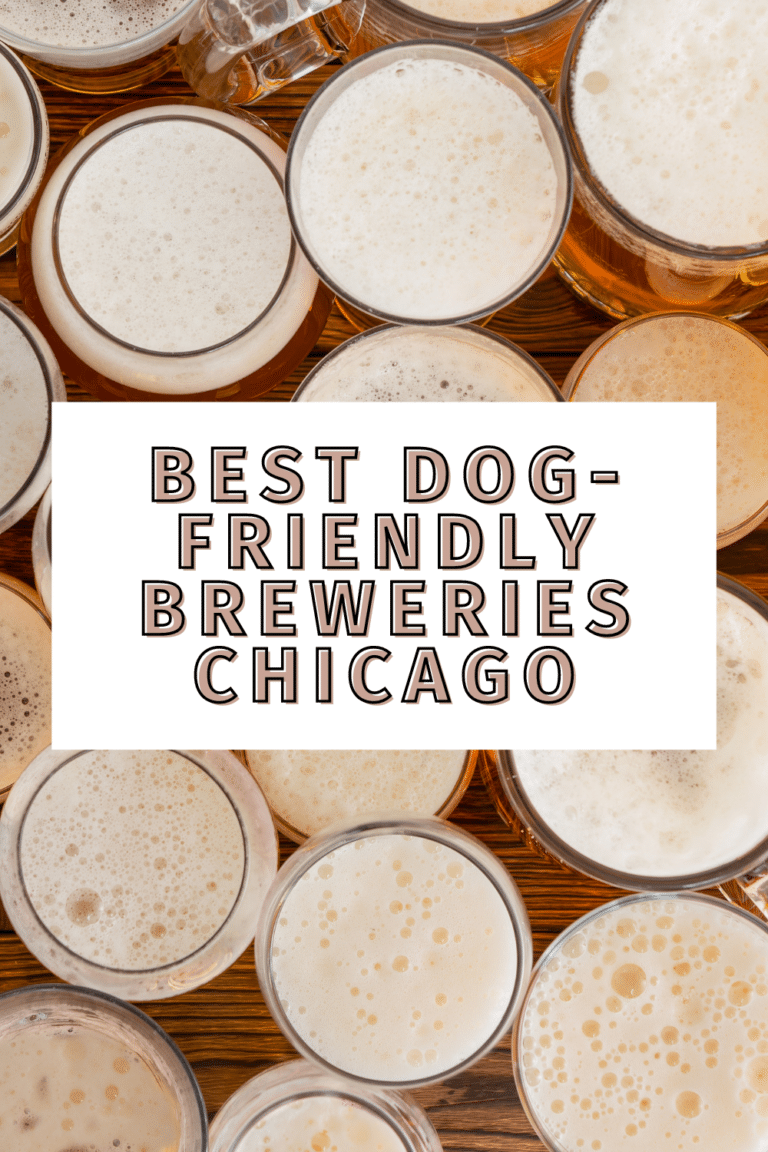 dog friendly breweries