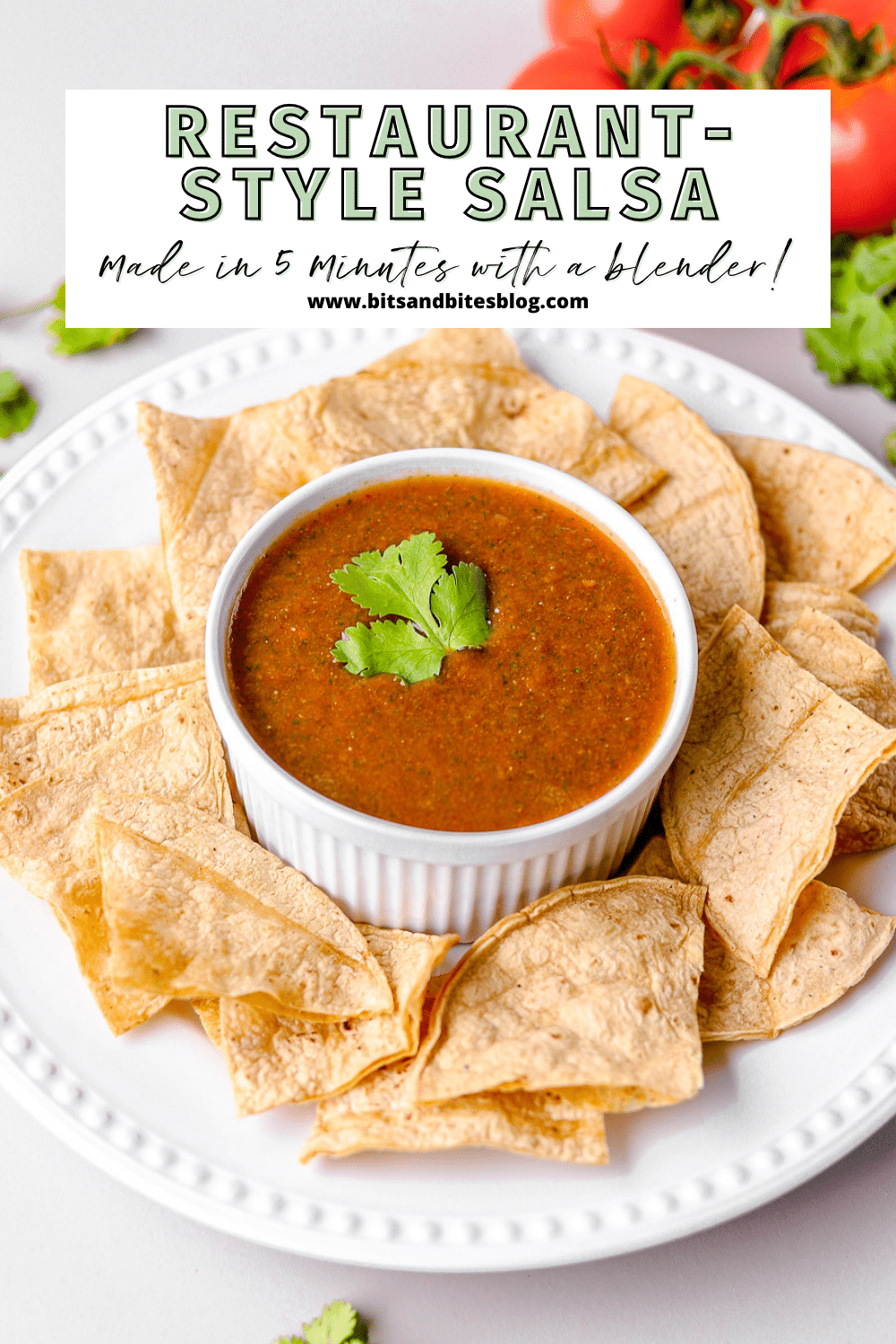 The Best Salsa Ever RestaurantStyle Blender Salsa bits and bites