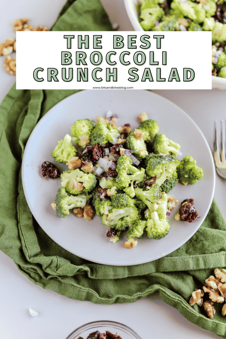 The Best Broccoli Crunch Salad Recipe - bits and bites