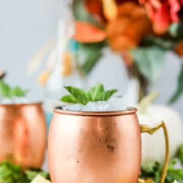 The bourbon mule is such a simple twist on the traditional Moscow Mule recipe. It's so perfect for the fall season with the combination of ginger spice and the warm flavors of bourbon.
