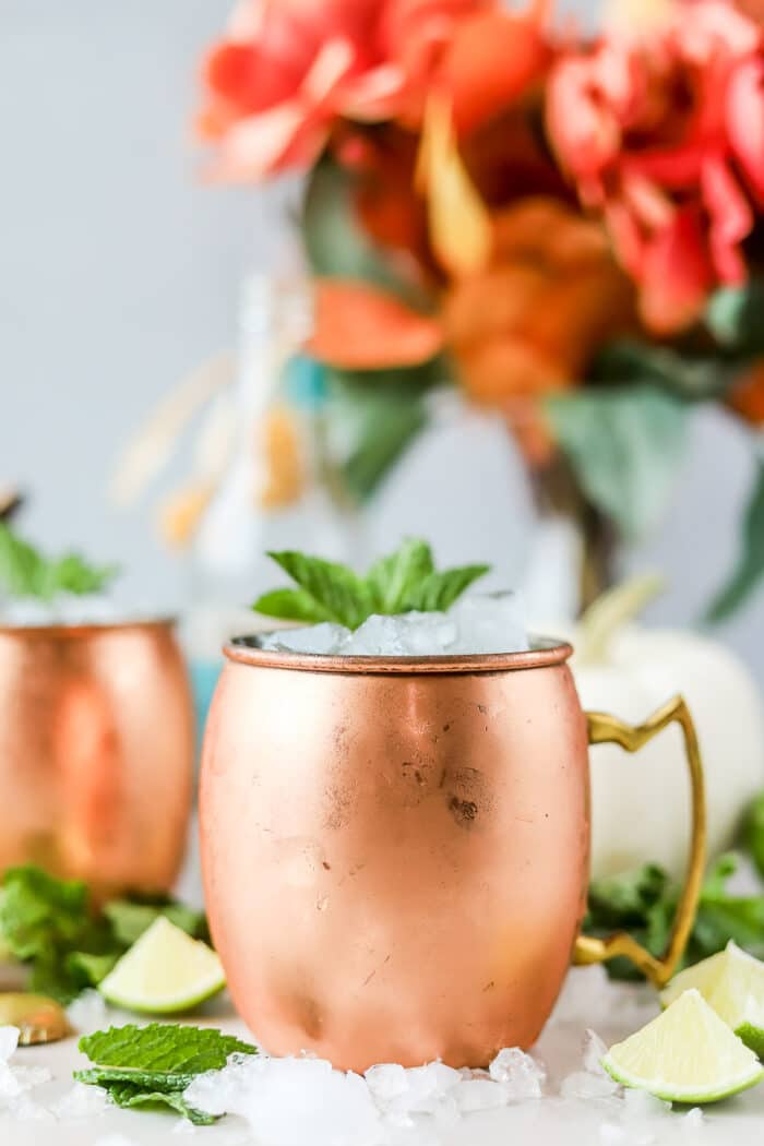 The bourbon mule is such a simple twist on the traditional Moscow Mule recipe. It's so perfect for the fall season with the combination of ginger spice and the warm flavors of bourbon.