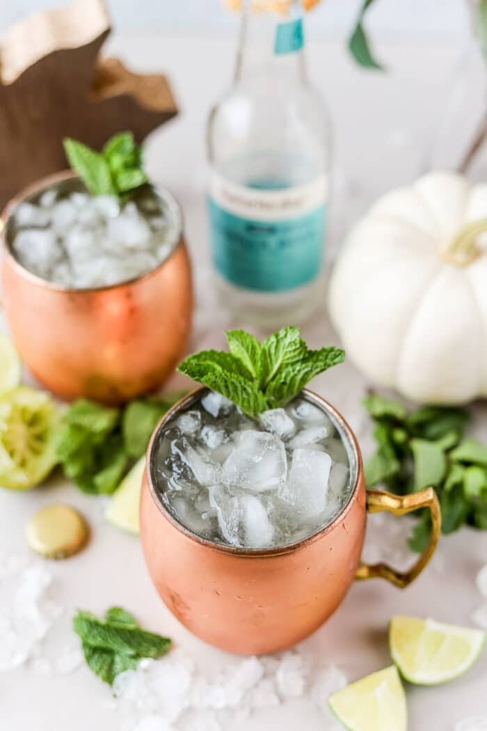 The bourbon mule is also known as the Kentucky mule. The difference between a Kentucky mule and a Moscow mule is the fact that one is made with bourbon and one is made with vodka.
