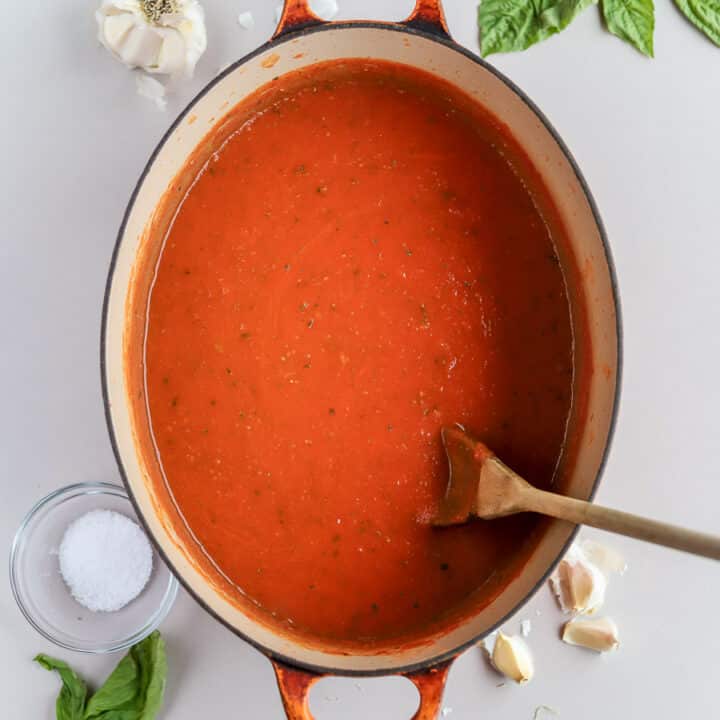 Simple San Marzano Tomato Sauce (quick & easy!) bits and bites