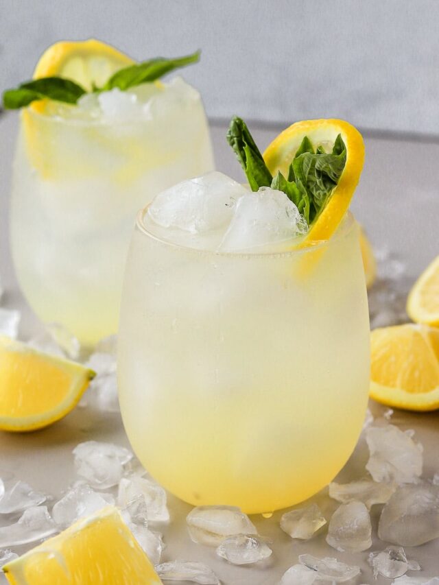 Lemon Vodka Spritzer