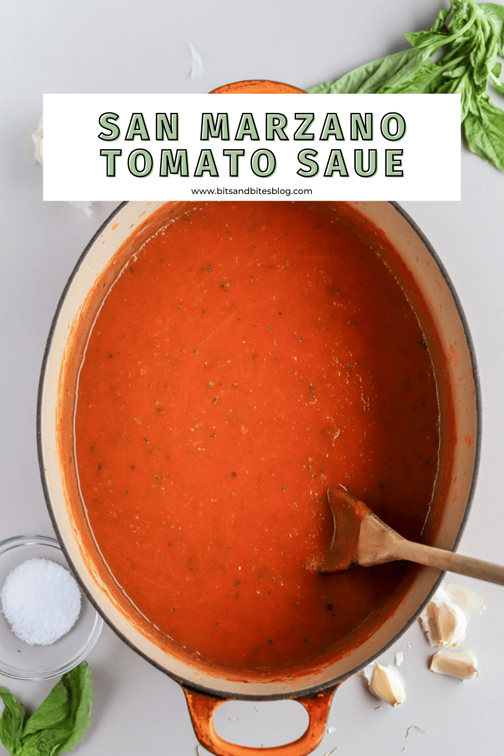 Simple San Marzano Tomato Sauce (quick & easy!) bits and bites