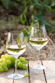Sauvignon Blanc Vs Pinot Grigio - What's the difference? - bits and bites