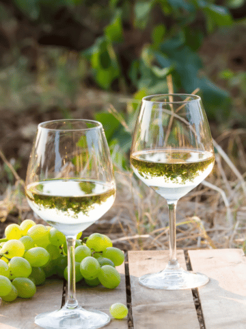 Not all wine is created equal, especially Sauvignon Blanc vs Pinot Grigio. So, what’s the difference between these two white wines? Let’s dive into the different flavor profiles.