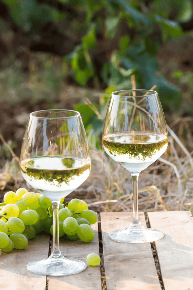 Not all wine is created equal, especially Sauvignon Blanc vs Pinot Grigio. So, what’s the difference between these two white wines? Let’s dive into the different flavor profiles.