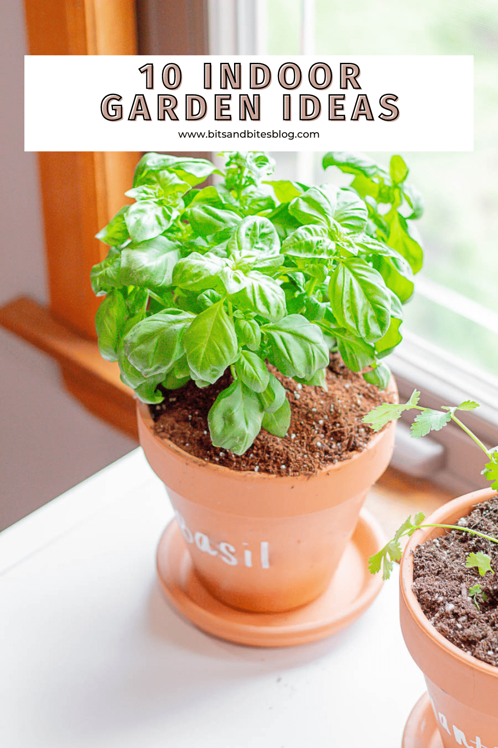 10 Indoor Herb Garden Ideas Perfect for Any Space - bits and bites