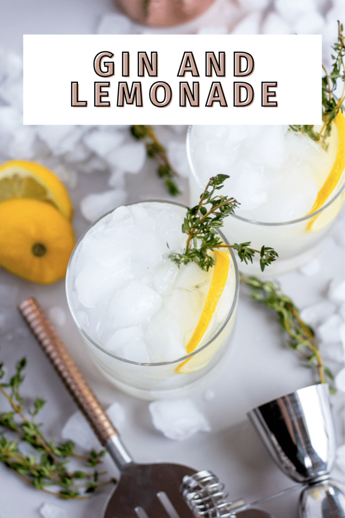 This gin and lemonade cocktail recipe is so perfect for hot summer days. It's a delicious 2-ingredient cocktail that's so easy and fun to make different variations.