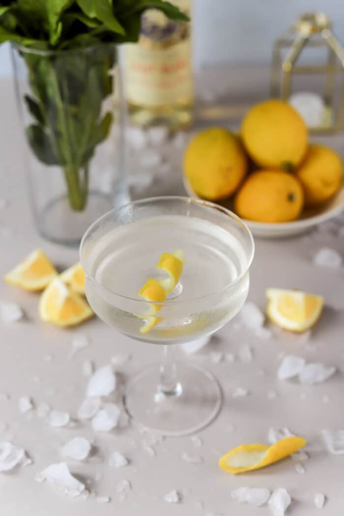 If you're looking for a fun twist on a classic martini recipe, you'll love this James Bond Vesper Martini. It's simple, crisp, and incredibly easy to make on your own!
