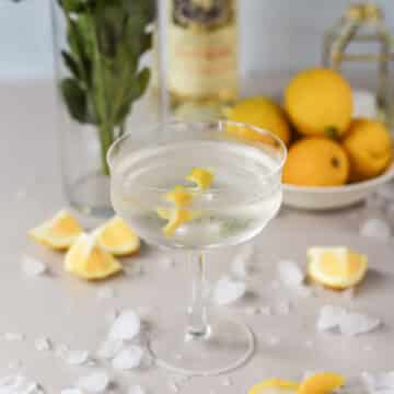 The Vesper martini (James Bond Martini) is such a delicious classic cocktail.