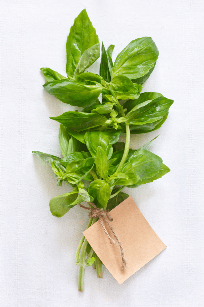 Here are 10 of the best basil substitute options you can use instead. 
