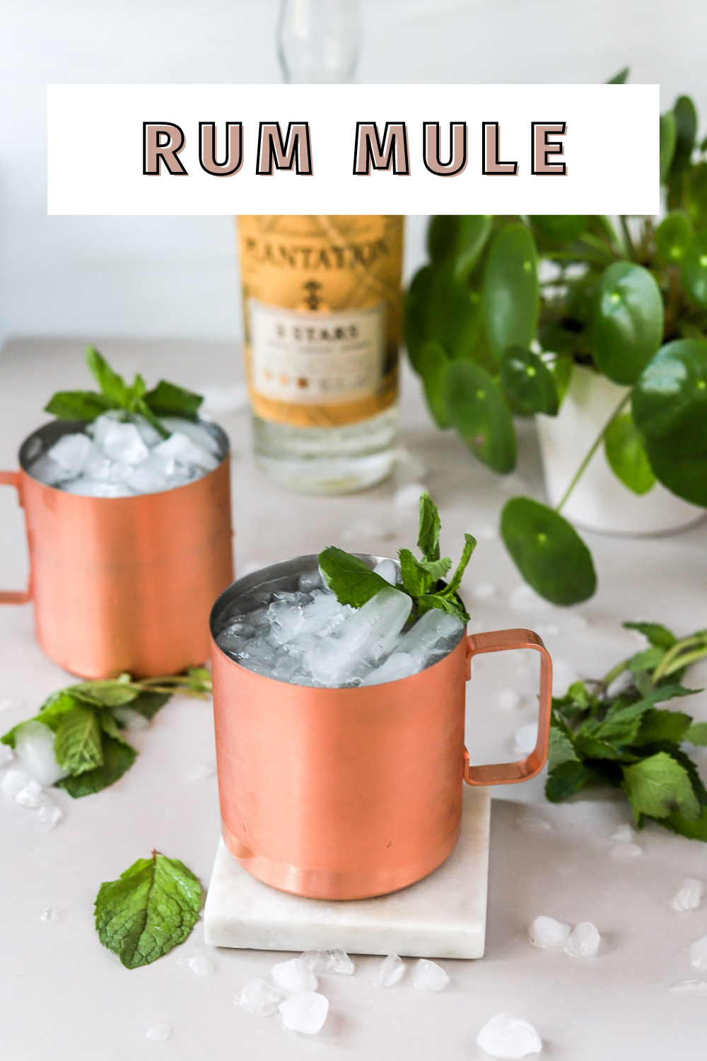 rum mule with white rum.