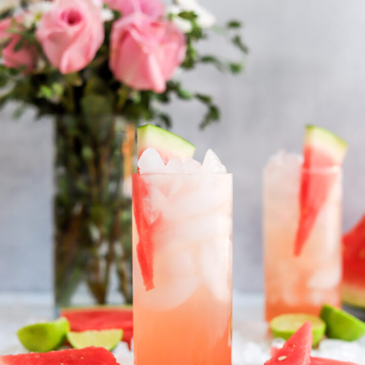 watermelon tequila spritzer