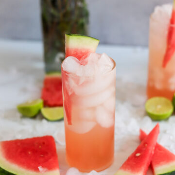 watermelon tequila spritzer