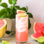 watermelon gin cocktail