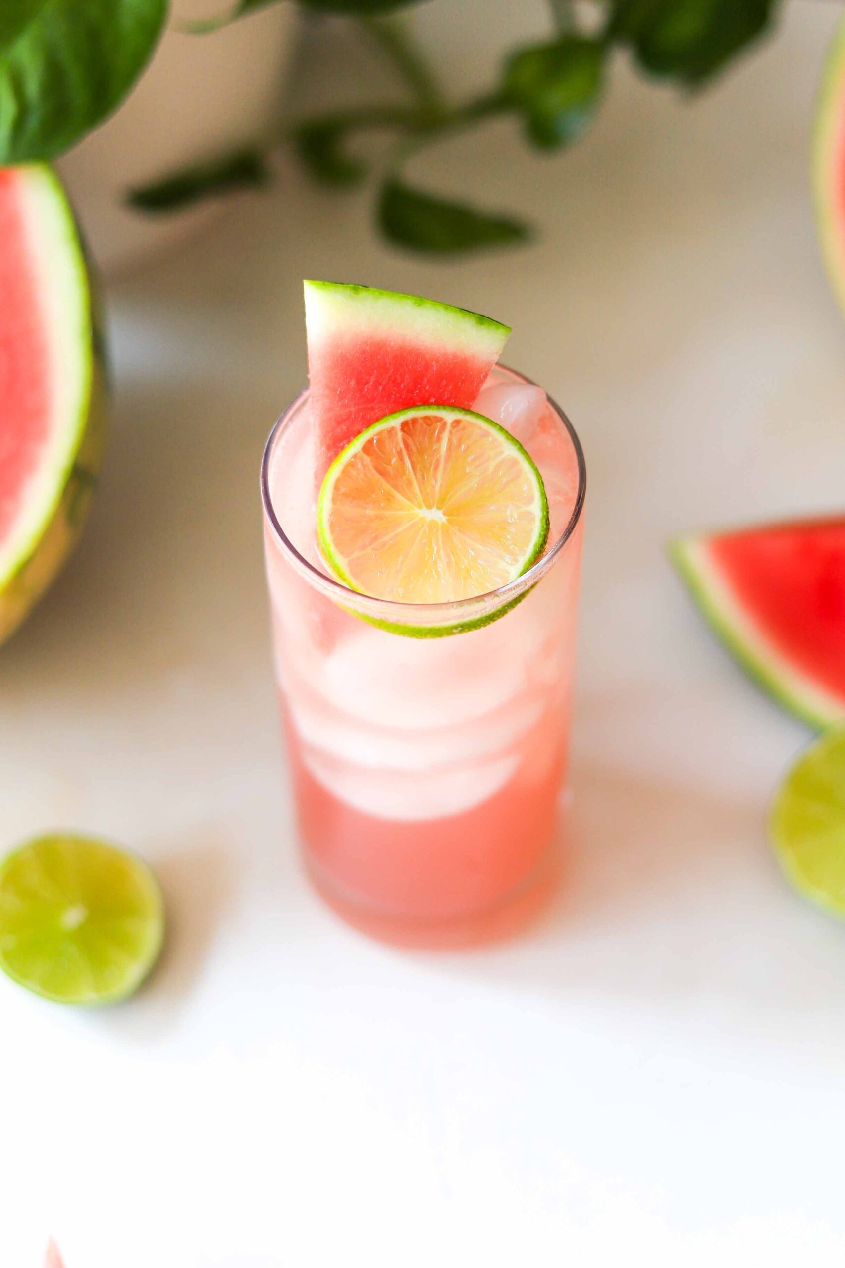watermelon gin cocktail