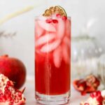 pomegranate gin fizz