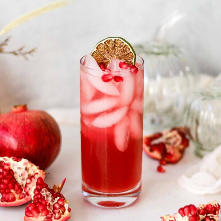 pomegranate gin fizz