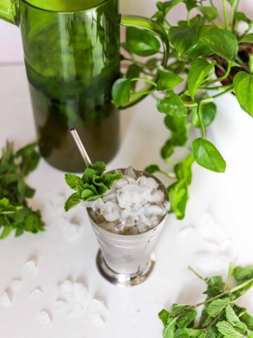 mint julep pitcher