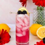 kentucky oaks lily drink