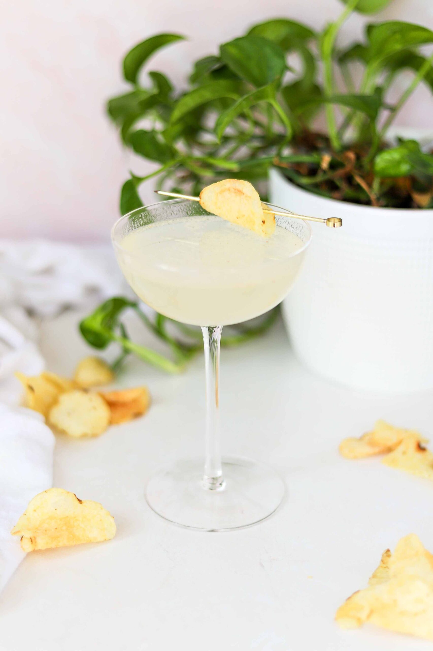 salt and vinegar martini