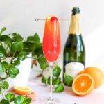 bahama mama mimosa