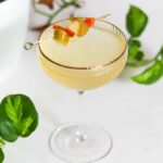 giardiniera martini